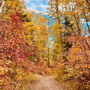 Meet your Posher, Husna